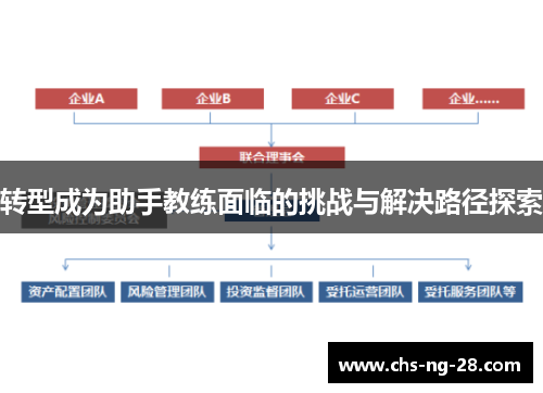 转型成为助手教练面临的挑战与解决路径探索